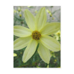 Groovy Petals Yellow Flower Postcard Groovy Petals Yellow Flower Postcard