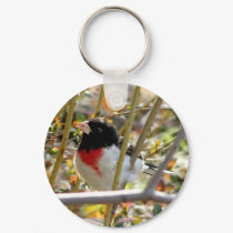 Gros Beak keychains by kahmier Gros Beak keychains