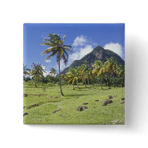 Gros Piton view along the historic trail in