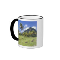 Gros Piton view along the historic trail in Mug