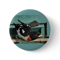 Grosbeak Birds Pin
