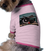 Grosbeak Birds pet clothing