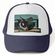 Grosbeak Birds hats