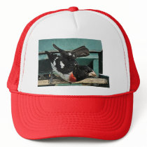 Grosbeak Birds hats