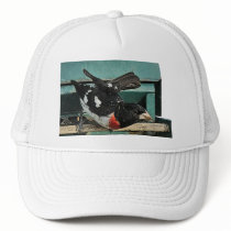Grosbeak Birds Mesh Hats