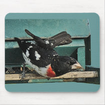 Grosbeak Birds Mousepad