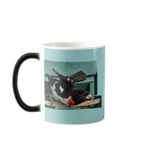 Grosbeak Birds mugs