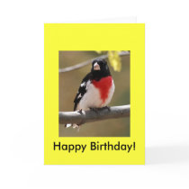 Grosbeak Birthday Card