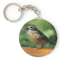 Grosbeak Keychain