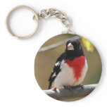 Grosbeak Keychain