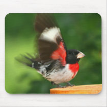 Grosbeak Mousepad