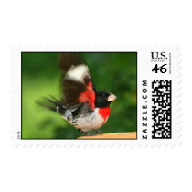 Grosbeak Postage Stamp