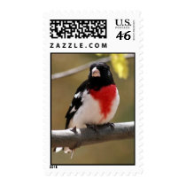 Grosbeak Postage Stamp