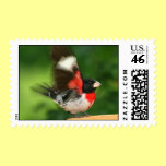 Grosbeak Postage Stamp stamps