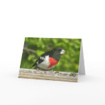 Grosbeak Thinking Of You Card (Large Print)
