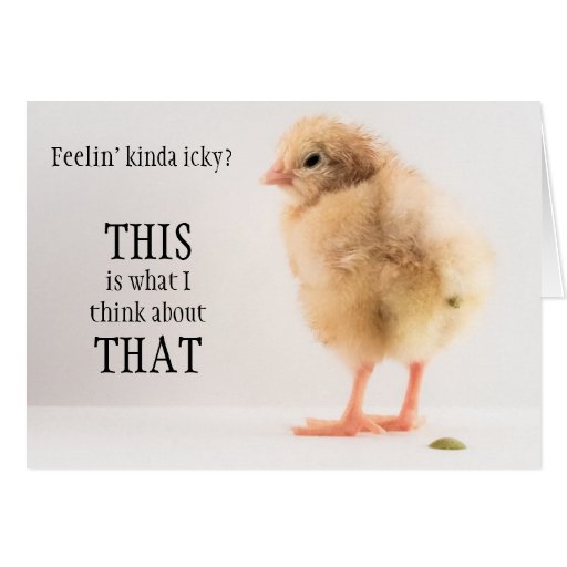 Gross Baby Chick Pooping Photo Cards Zazzle
