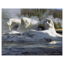 Grotto Geyser, Upper Geyser Basin, Yellowstone Nat Flyer Design