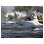 Grotto Geyser, Upper Geyser Basin, Yellowstone Nat flyers
