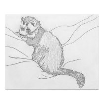 "Grouch" Ferret Drawing Poster posters