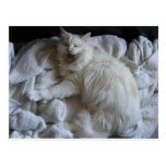 grouchy postcard postcards