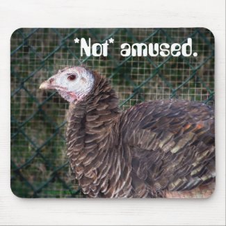 Grouchy turkey hen with ruffled feathers mousepad