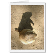 Ground Hog Day Card