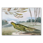 Ground Parrot Table Cards