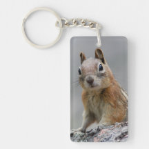 Ground Squirrel Acrylic Key Chain