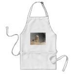 Ground Squirrel Aprons