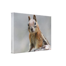 Ground Squirrel Canvas Prints