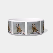 Ground Squirrel Cat Water Bowl