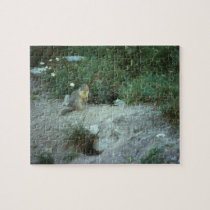 Ground Squirrel Glacier National Park puzzles