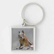 Ground Squirrel Keychain