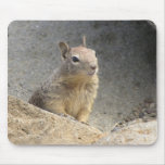 Ground Squirrel Mousepads