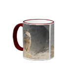 Ground Squirrel mugs