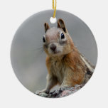 ground squirrel ornament