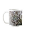 Ground yourself. mugs