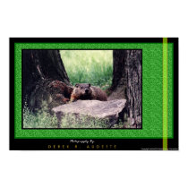 GroundHog 2 posters