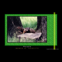 GroundHog 2 posters