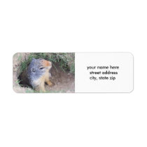Groundhog Address Label