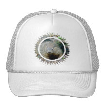 Groundhog Basebal Hat