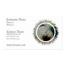 Groundhog Business Card