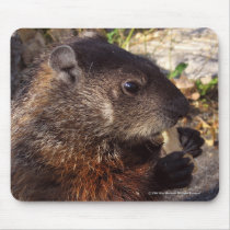 Groundhog Close-Up mousepads