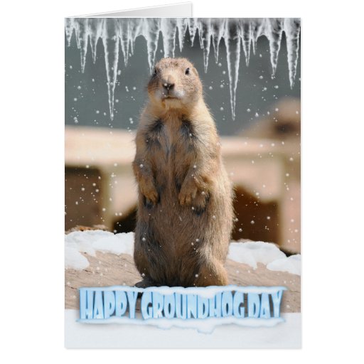 Groundhog Day Card Happy Groundhog Day Zazzle