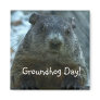 Groundhog Day!! Refrigerator Magnet