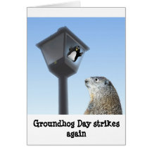 Groundhog Day Strikes Again Cards