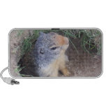 Groundhog Doodle Speaker