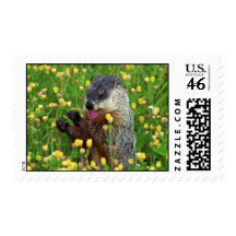 Groundhog - Groundhog with Flower Postage ~