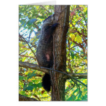 Groundhog I Miss You Greeting Card cards