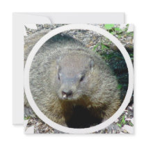 Groundhog Invitation